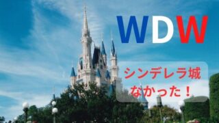 【WDW旅行記】フロリダ・ディズニーにシンデレラ城がない！新婚旅行での思い出