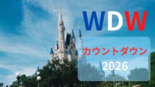 【WDW】年越しカウントダウンはいくらで行ける?2025-2026限定の5泊7日プラン!