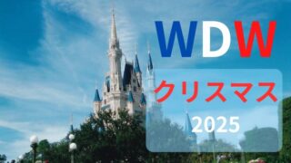 【2025年版】個人手配で行く!ディズニーワールドのクリスマス完全ガイド