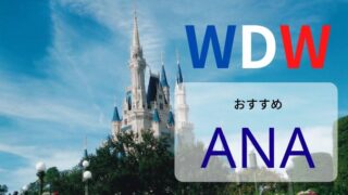 【ANA】フロリダ・ディズニー初心者におすすめする理由は7つの「あんしん」